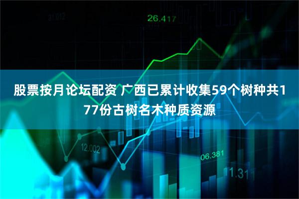 股票按月论坛配资 广西已累计收集59个树种共177份古树名木种质资源